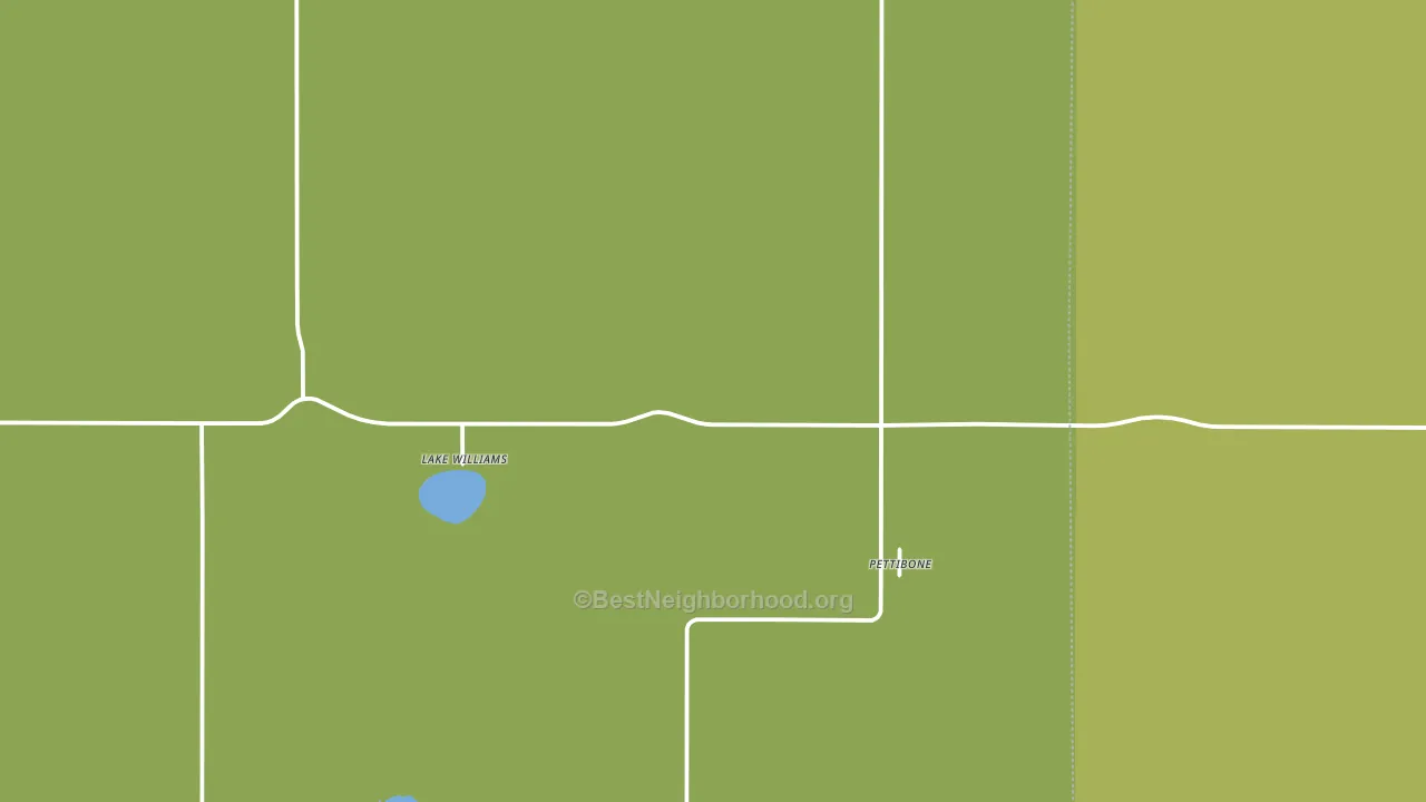 Pettibone, ND block-group voter-turnout map