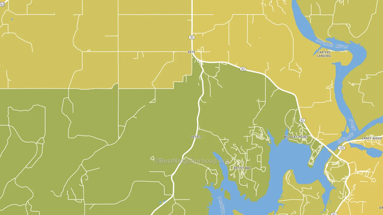Pettit, OK block-group voter-turnout map