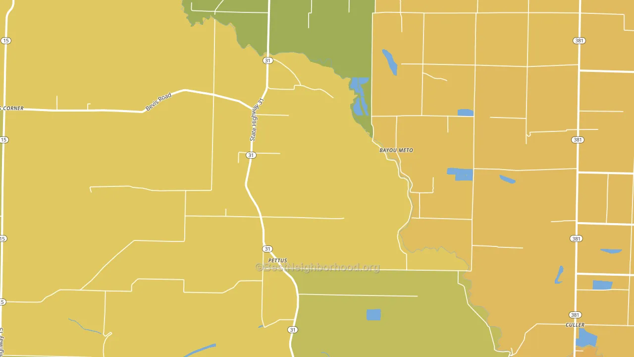 Pettus, AR block-group voter-turnout map