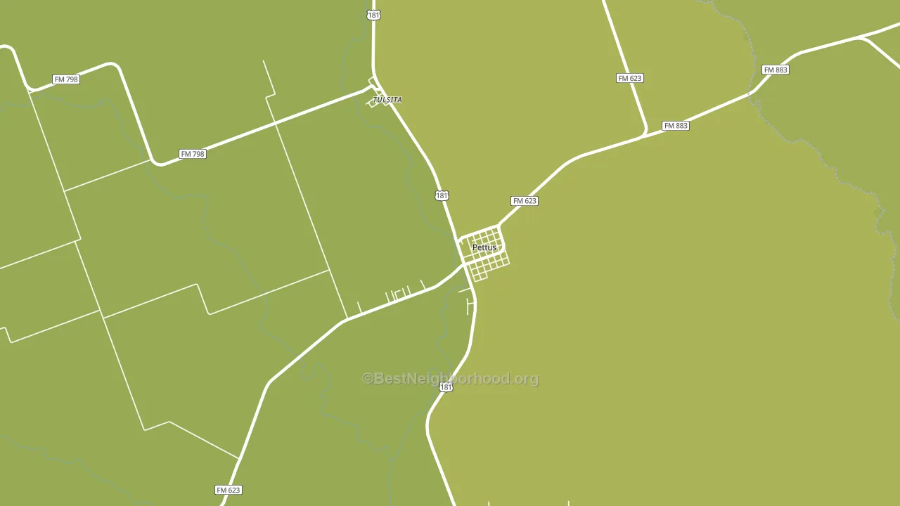 Pettus, TX block-group voter-turnout map