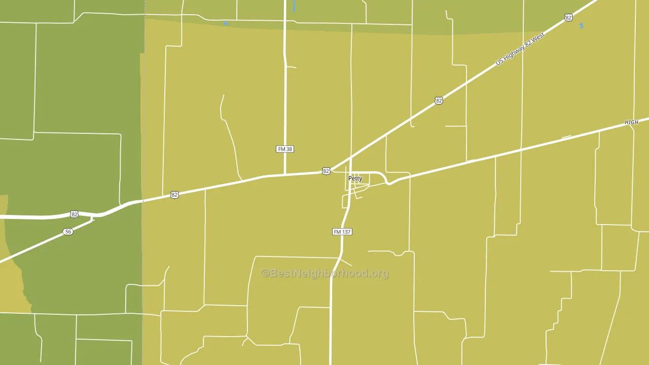 Petty, TX block-group voter-turnout map