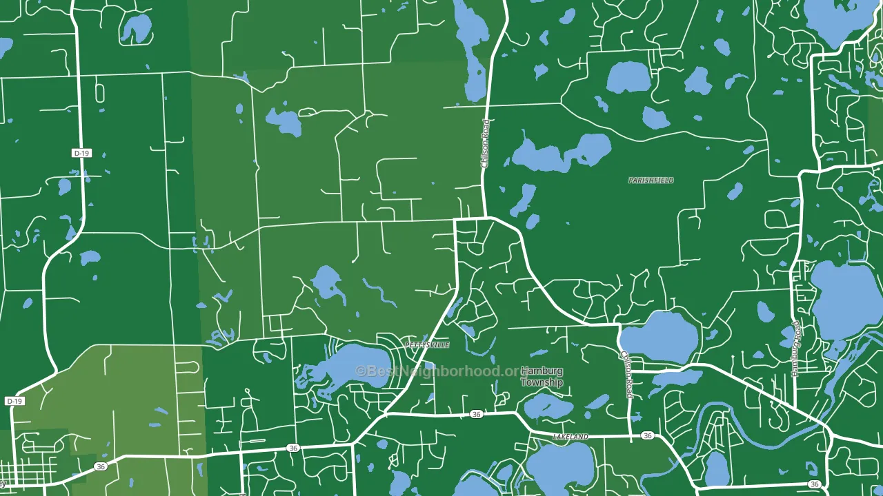 Pettysville, MI block-group voter-turnout map