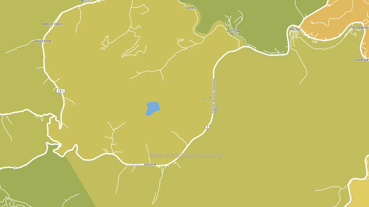 Peytona, WV block-group voter-turnout map