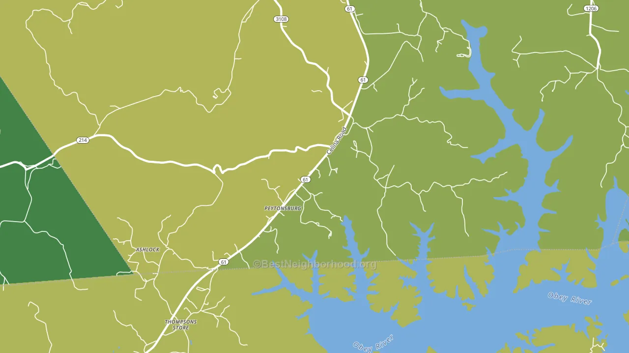 Peytonsburg, KY block-group voter-turnout map