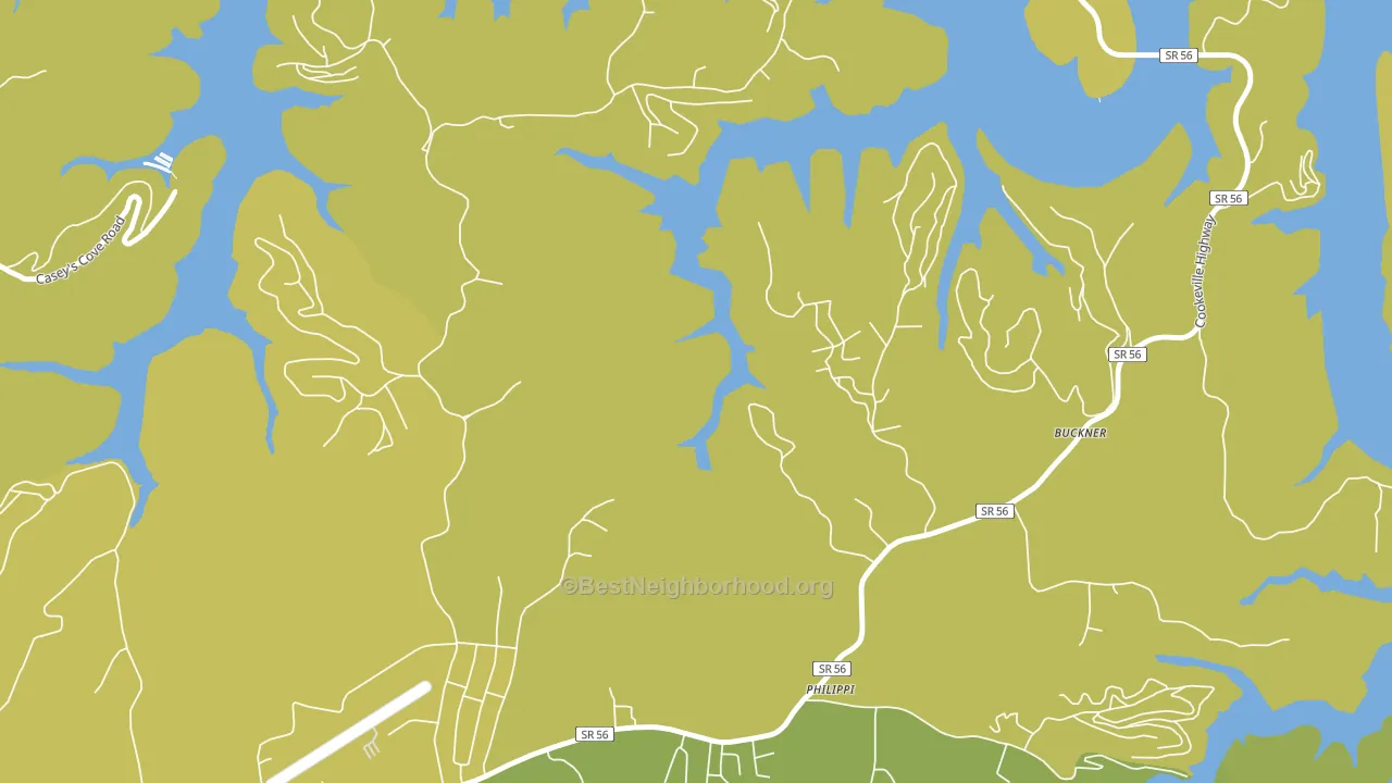Philippi, TN block-group voter-turnout map