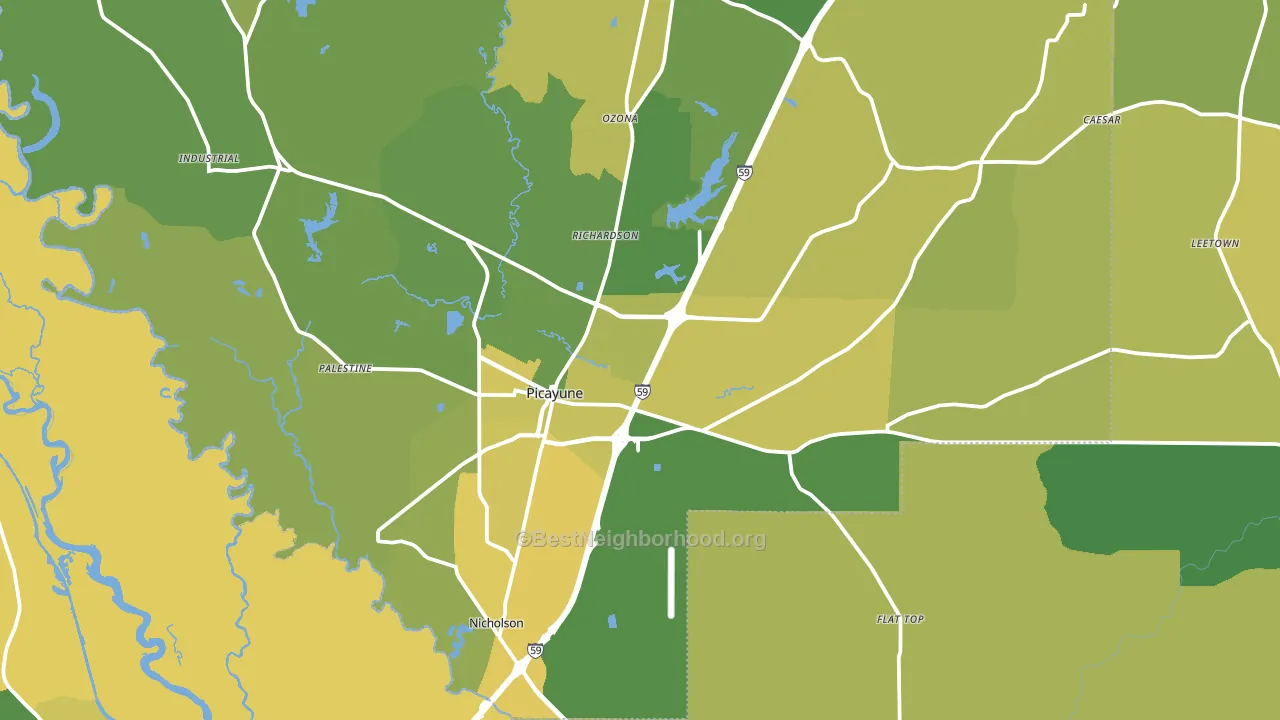 Picayune, MS block-group voter-turnout map