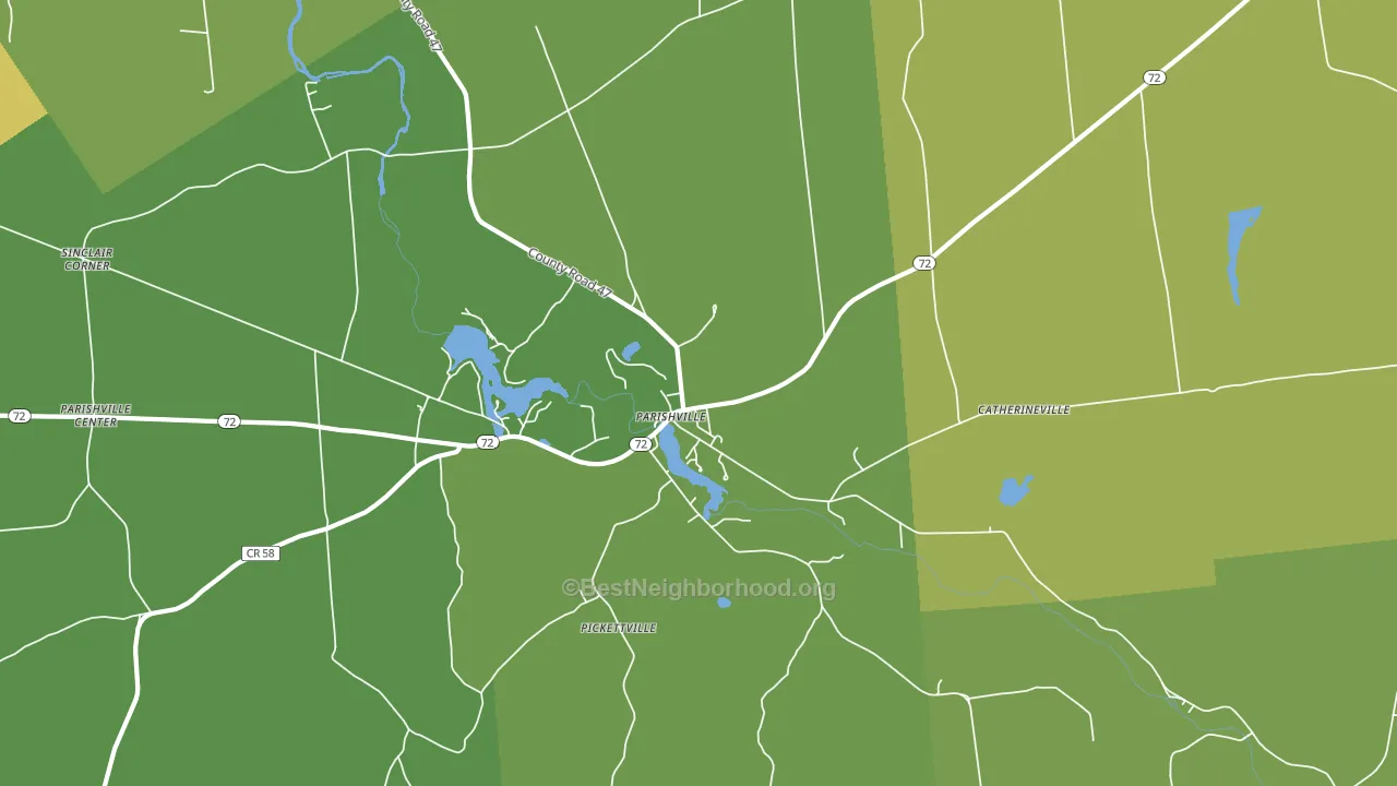 Pickettville, NY block-group voter-turnout map