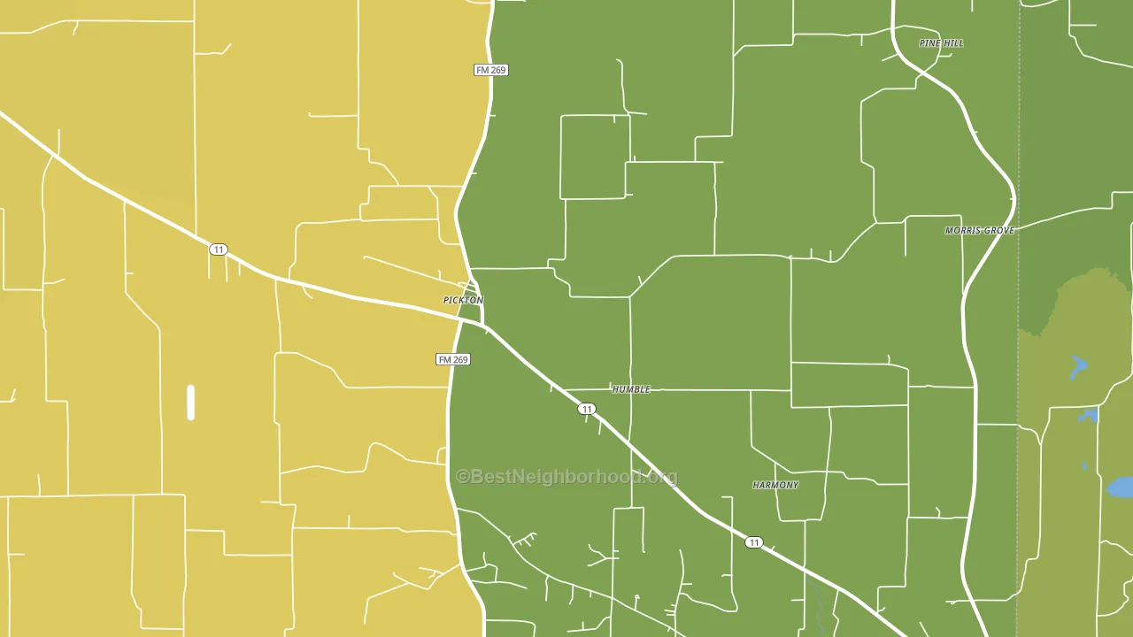 Pickton, TX block-group voter-turnout map