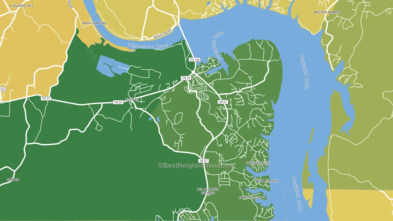 Pickwick Dam, TN block-group voter-turnout map