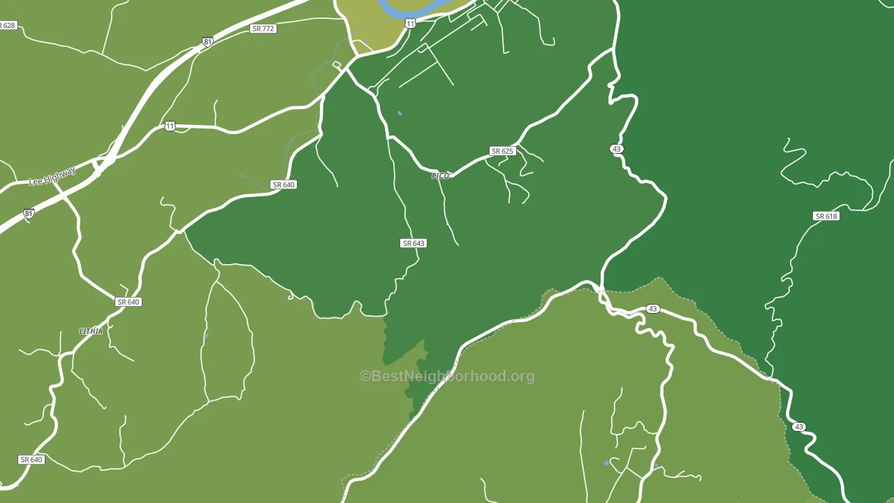 Pico, VA block-group voter-turnout map