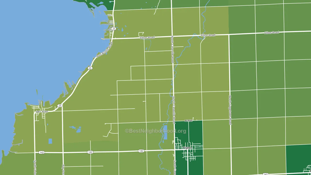 Pigeon, MI block-group voter-turnout map