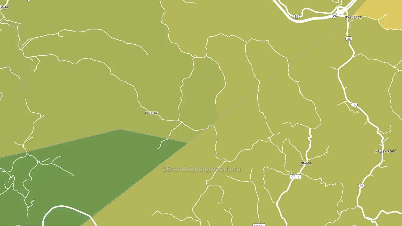 Pigeon, WV block-group voter-turnout map
