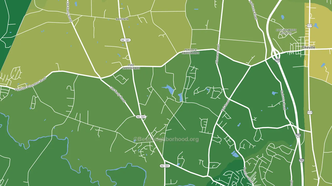 Pike Crossroads, NC block-group voter-turnout map