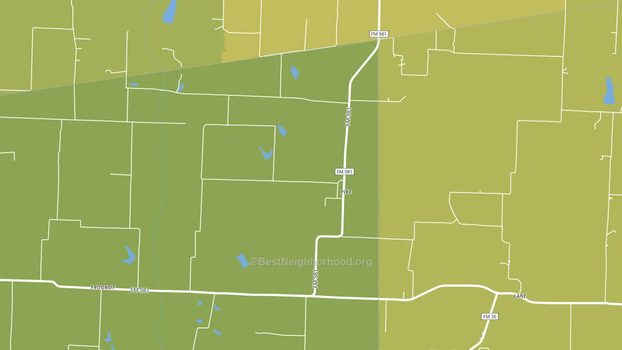 Pike, TX block-group voter-turnout map