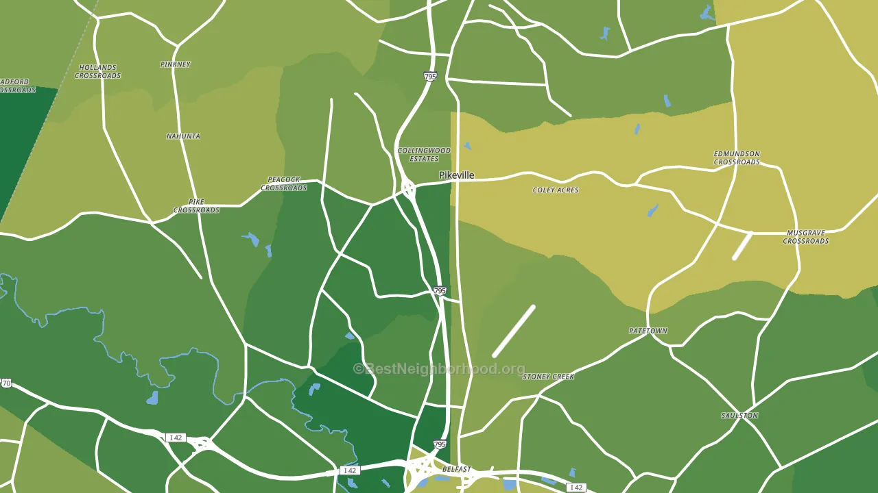 Pikeville, NC block-group voter-turnout map
