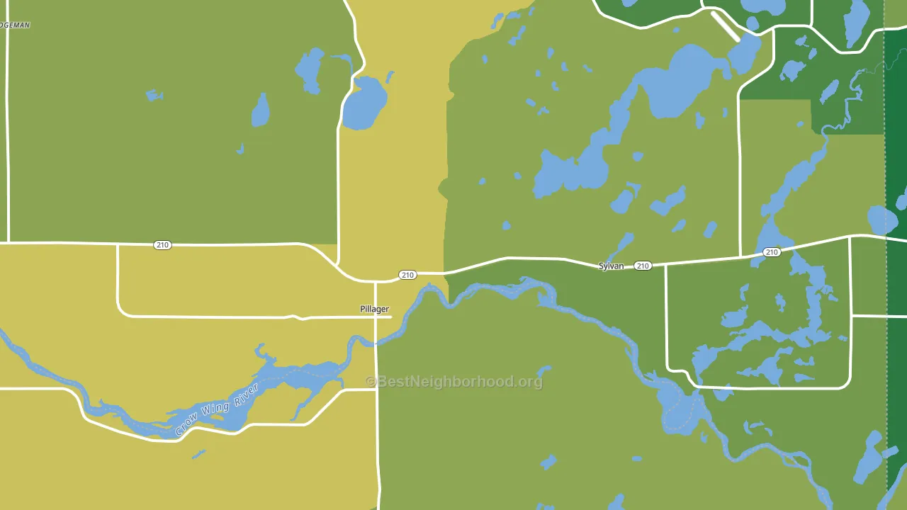 Pillager, MN block-group voter-turnout map