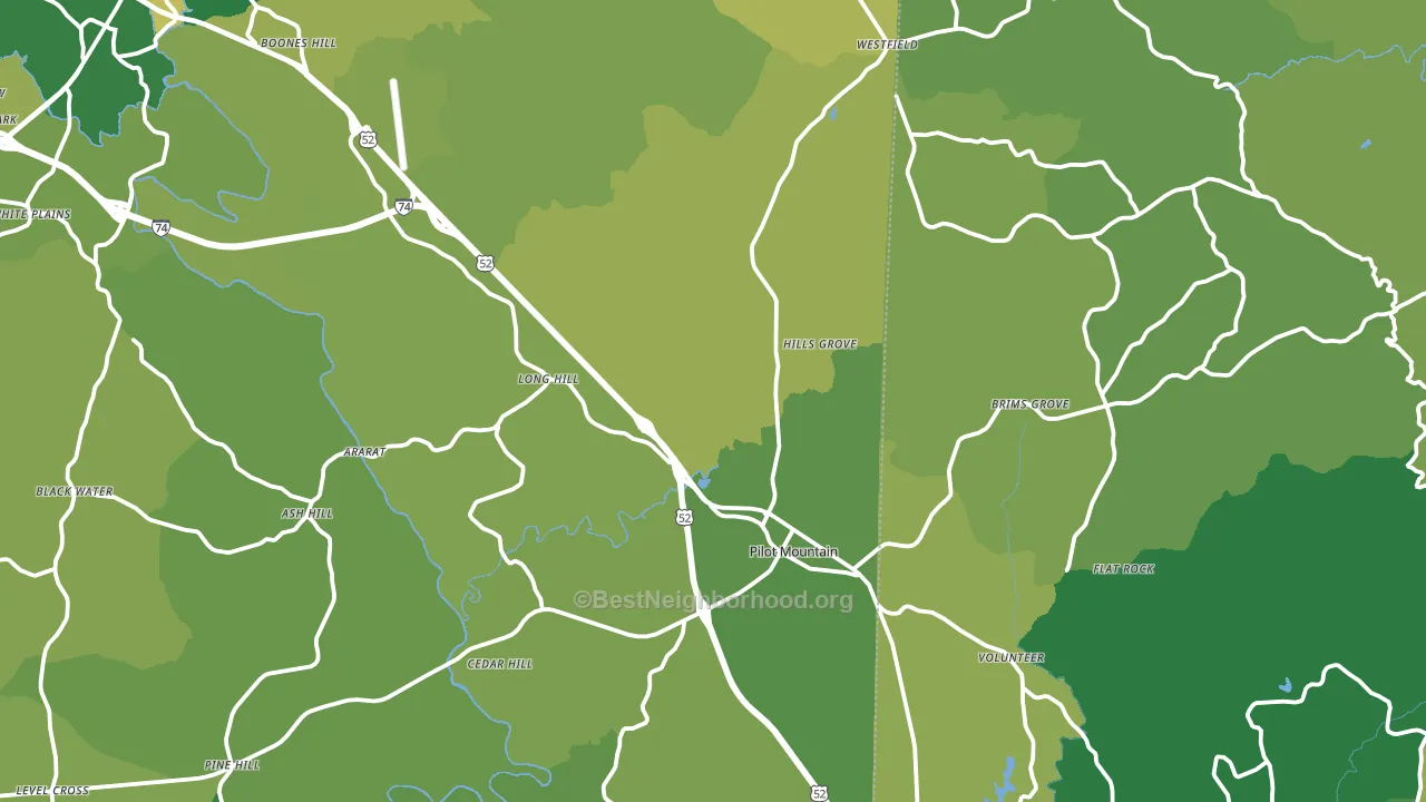 Pilot Mountain, NC block-group voter-turnout map