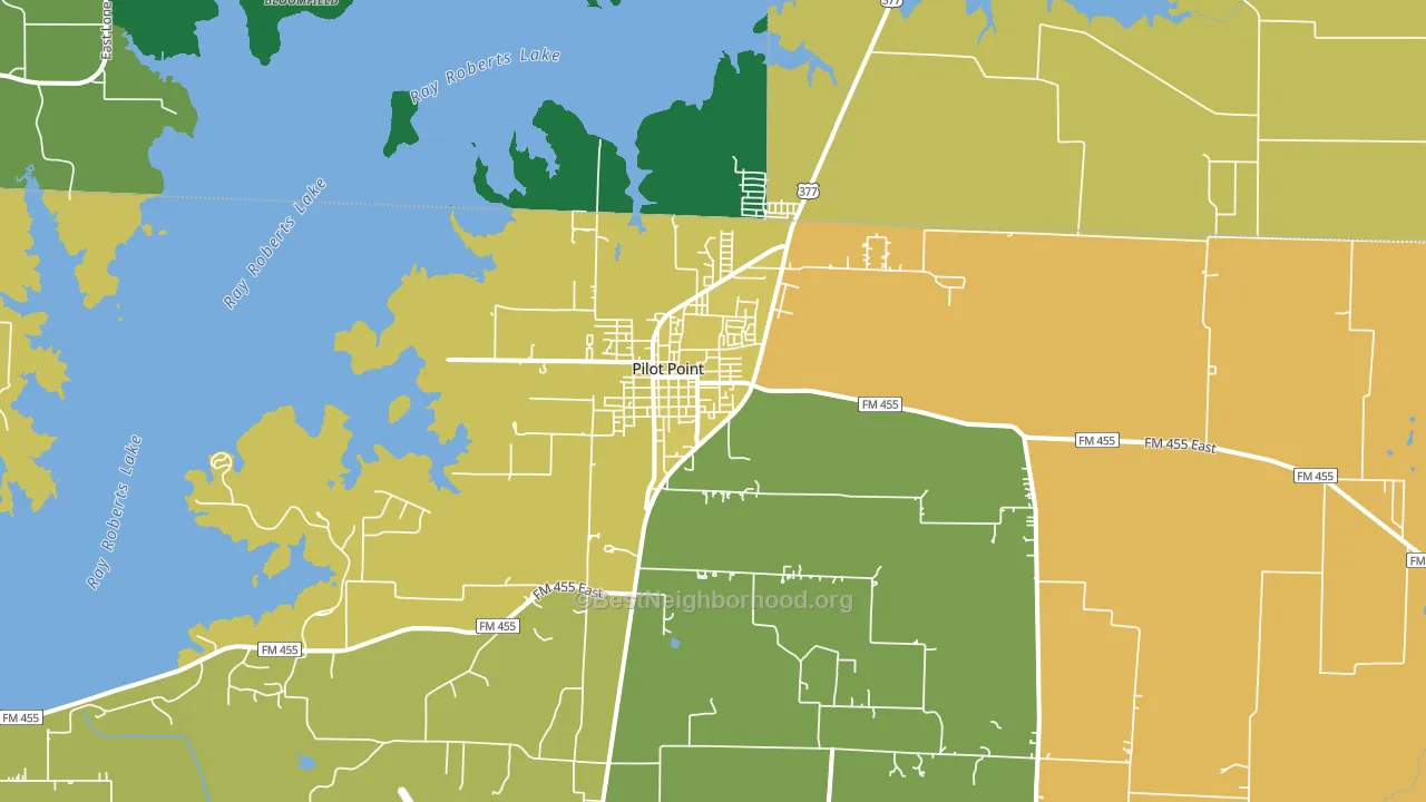 Pilot Point, TX block-group voter-turnout map