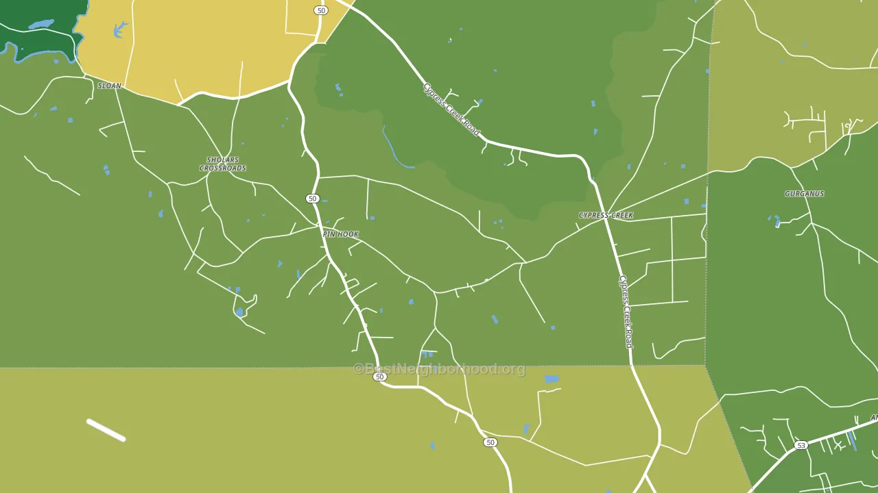 Pin Hook, NC block-group voter-turnout map