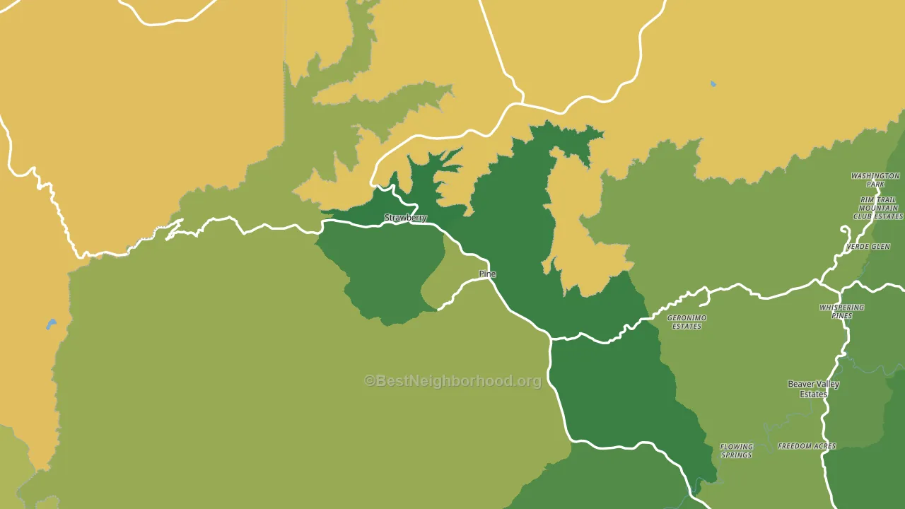 Pine, AZ block-group voter-turnout map
