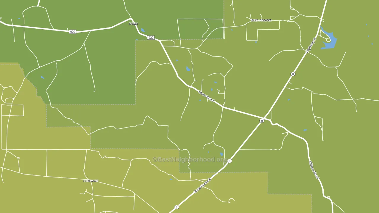 Pine Coupee, LA block-group voter-turnout map