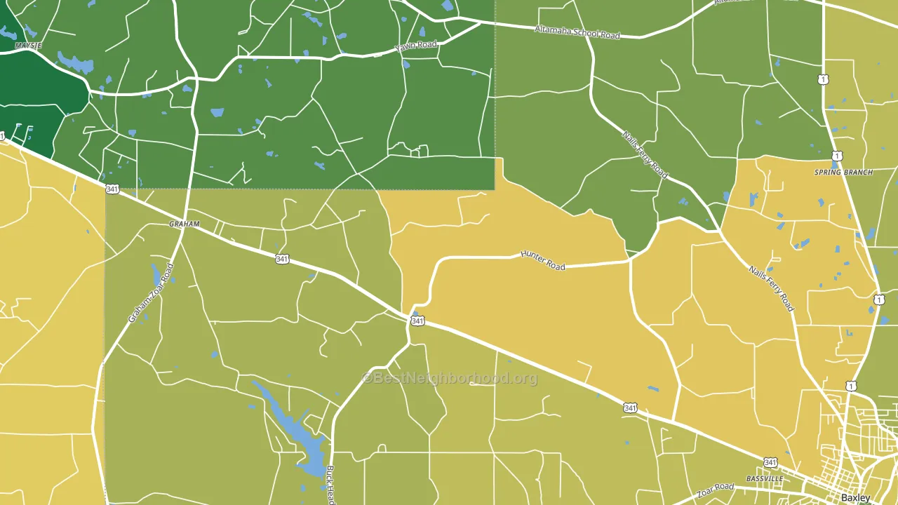 Pine Grove, GA block-group voter-turnout map