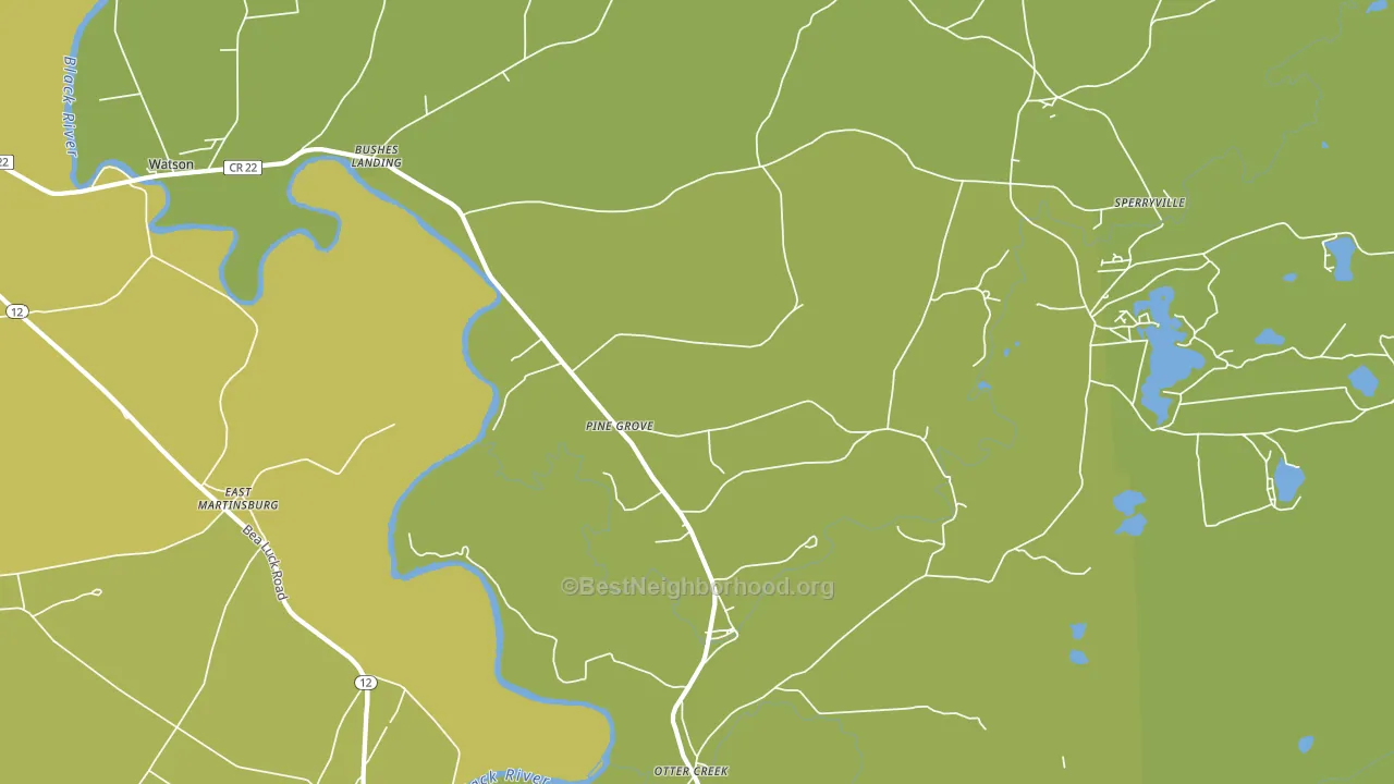 Pine Grove, NY block-group voter-turnout map