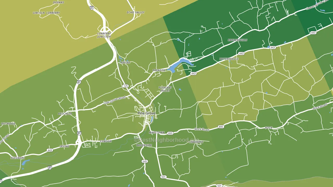 Pine Grove, PA block-group voter-turnout map