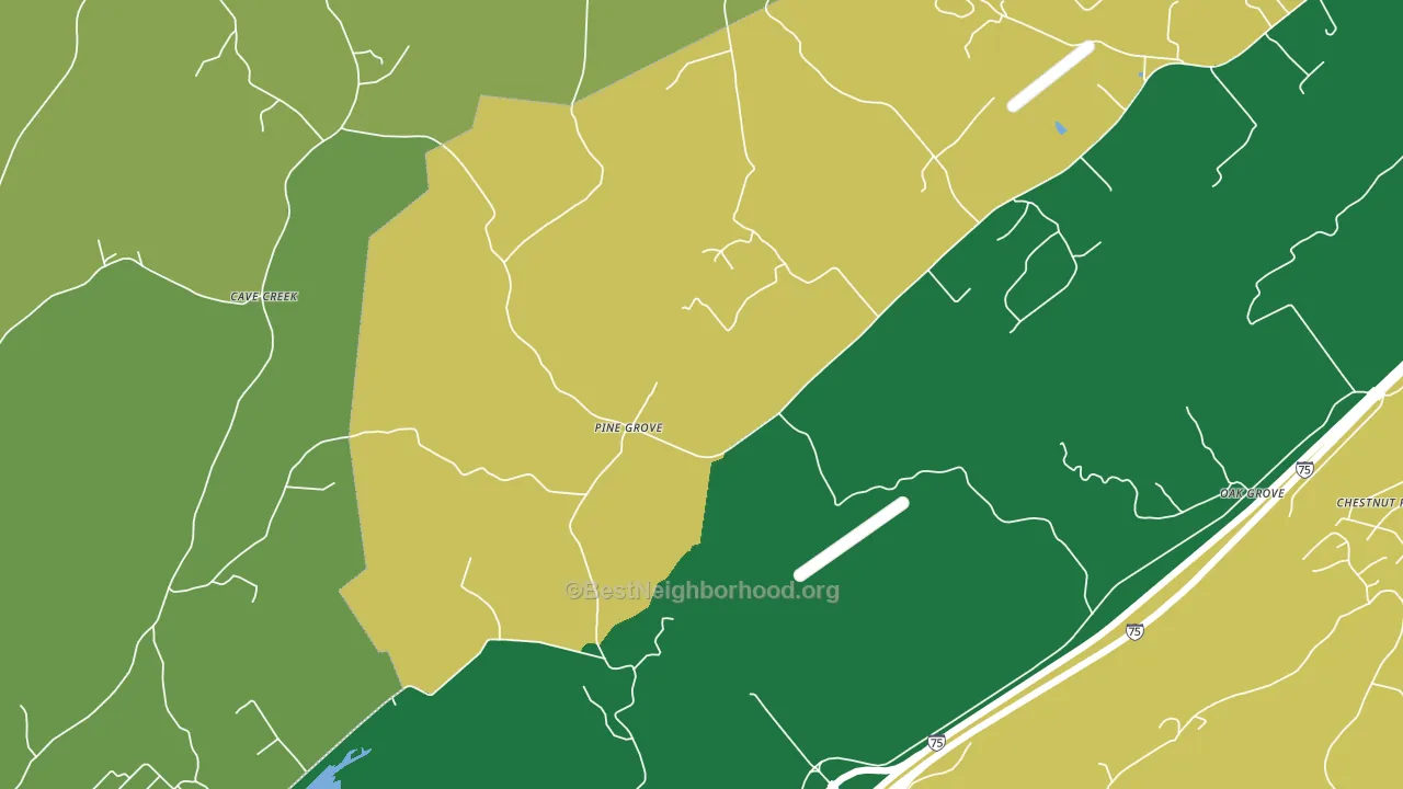 Pine Grove, TN block-group voter-turnout map