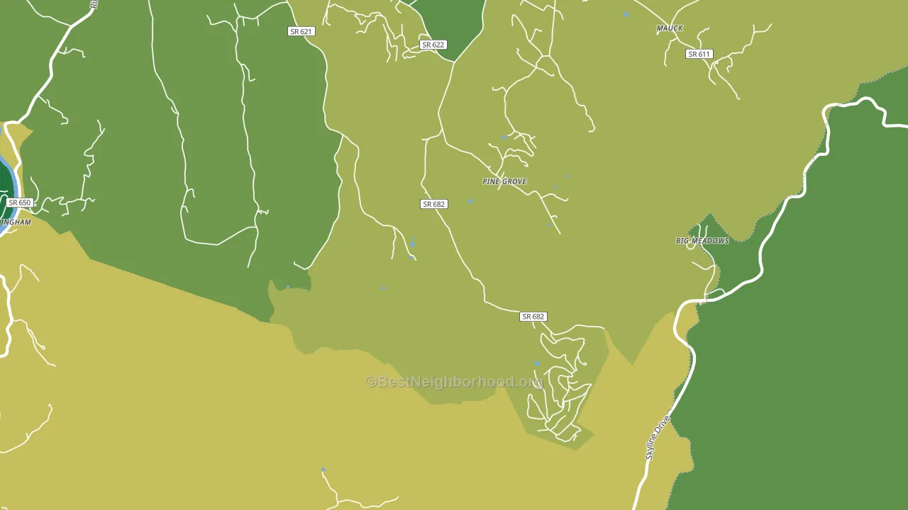 Pine Grove, VA block-group voter-turnout map