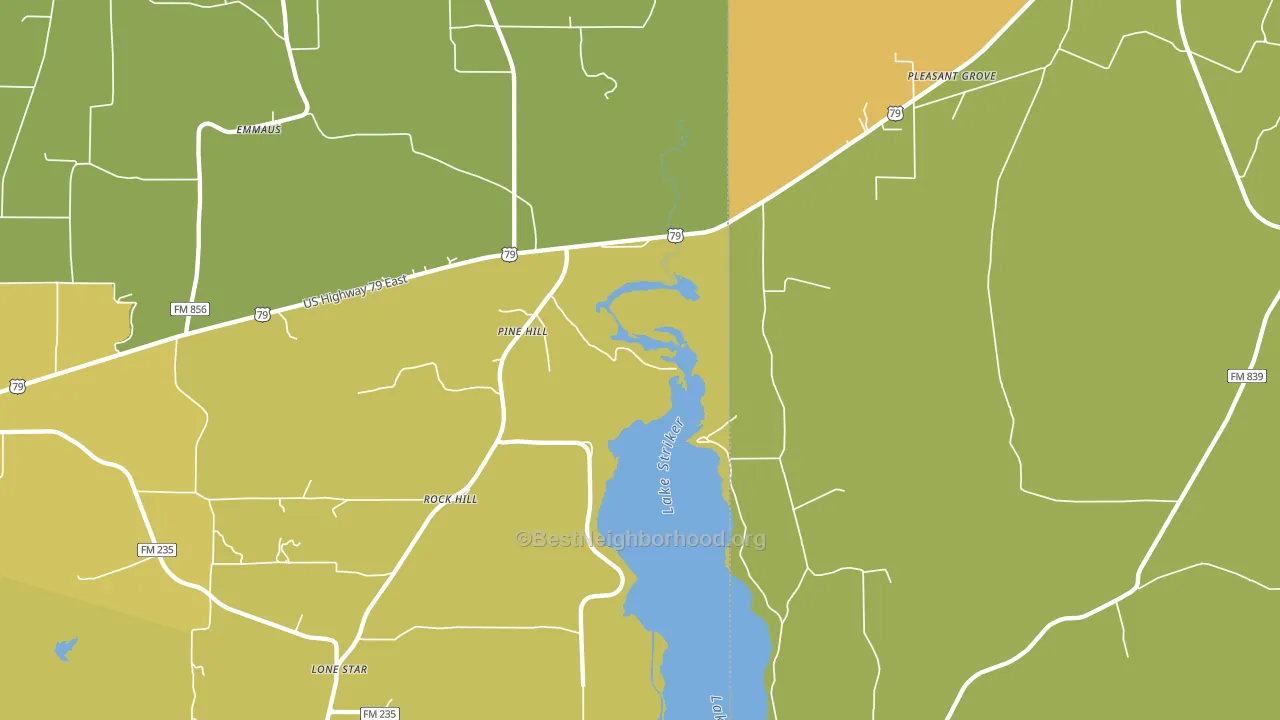 Pine Hill, TX block-group voter-turnout map