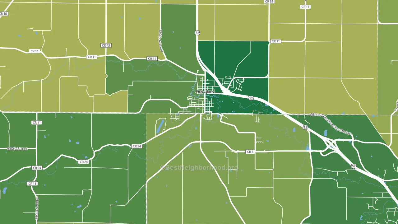 Pine Island, MN block-group voter-turnout map