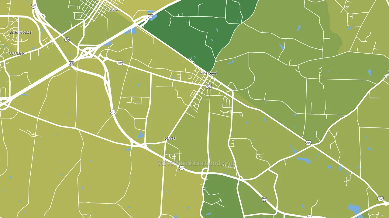 Pine Level, NC block-group voter-turnout map