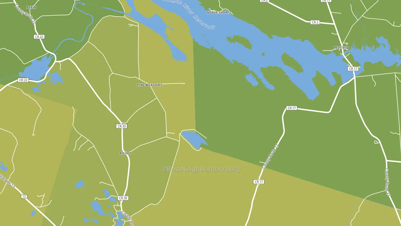 Pine Meadows, NY block-group voter-turnout map