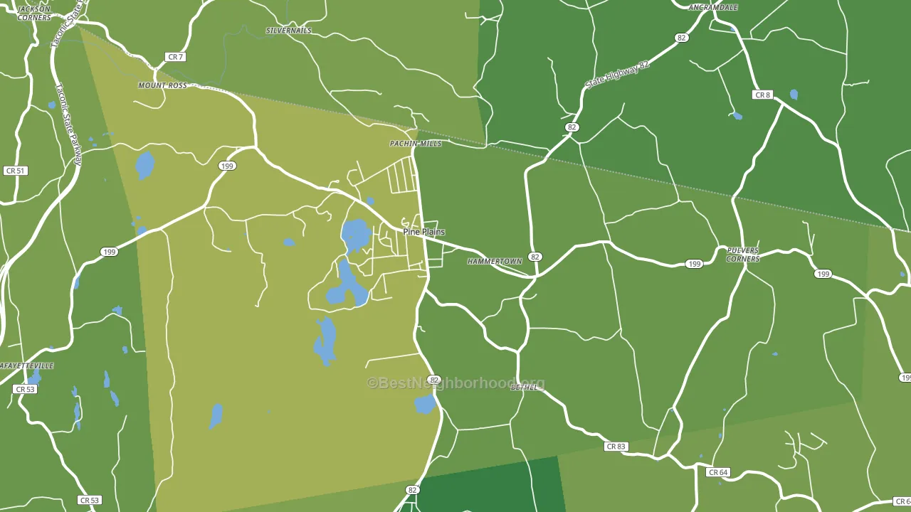 Pine Plains, NY block-group voter-turnout map