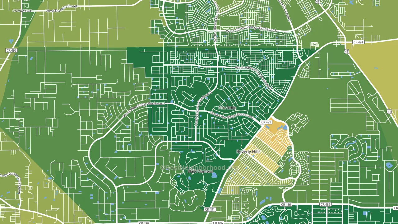 Pine Ridge, FL block-group voter-turnout map