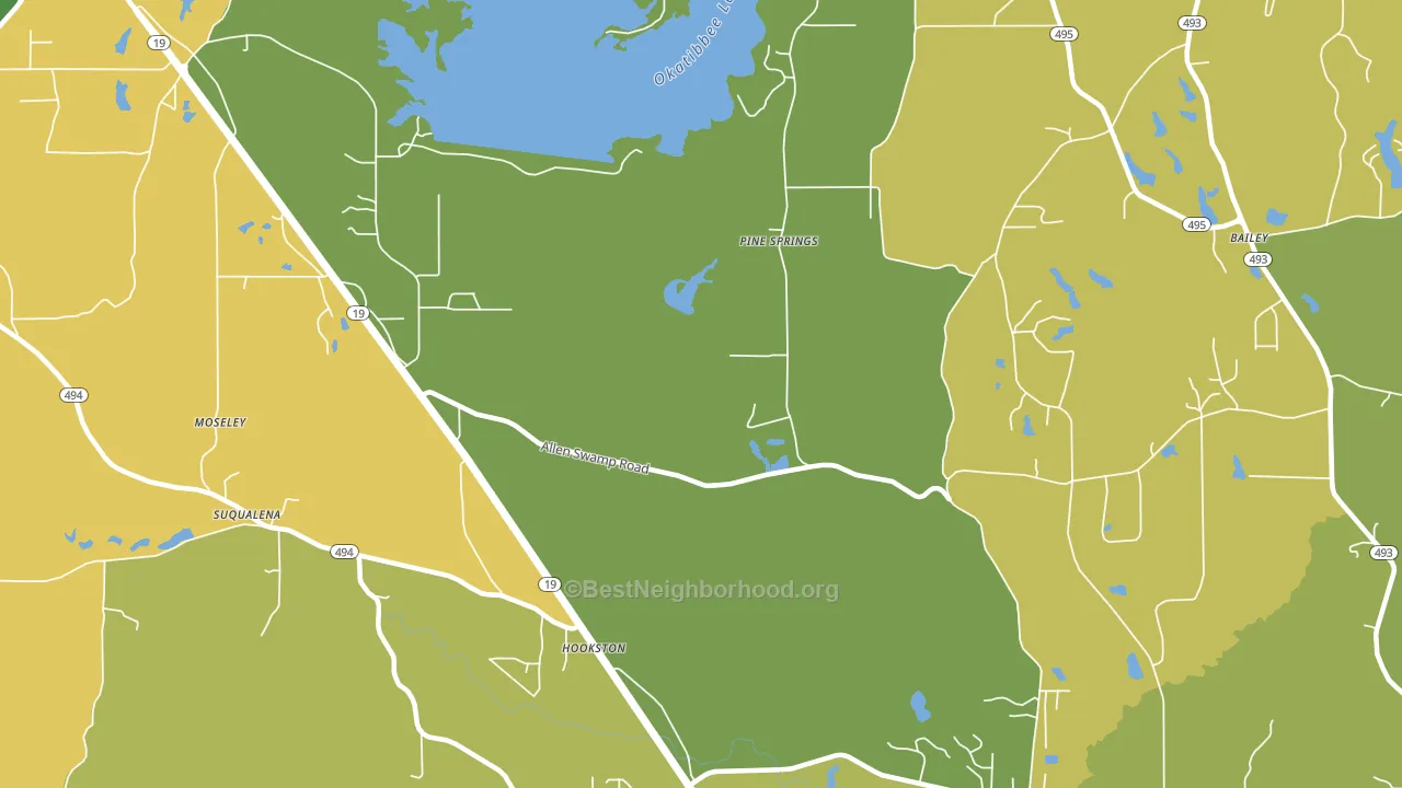 Pine Springs, MS block-group voter-turnout map