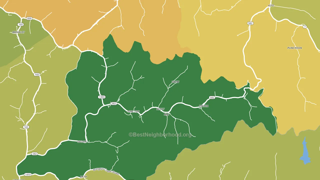 Pine Top, KY block-group voter-turnout map