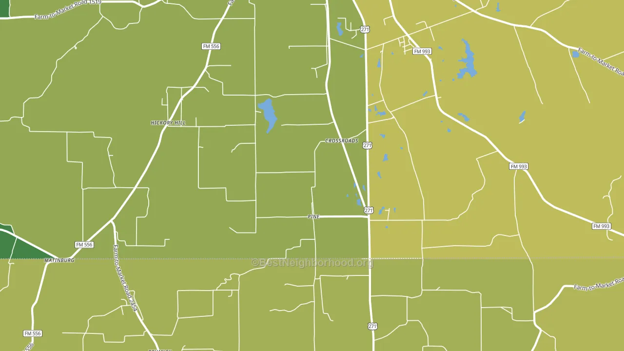 Pine, TX block-group voter-turnout map