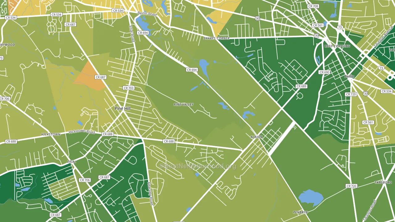 Pine Valley, NJ block-group voter-turnout map