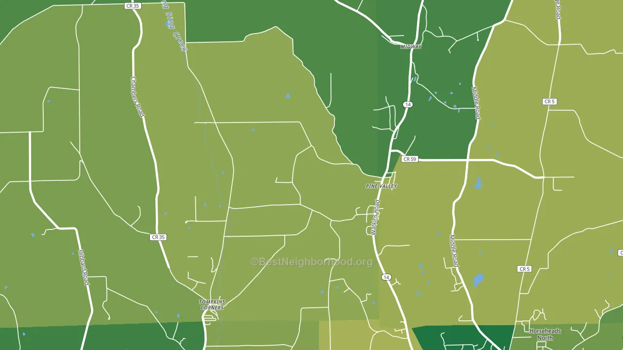 Pine Valley, NY block-group voter-turnout map