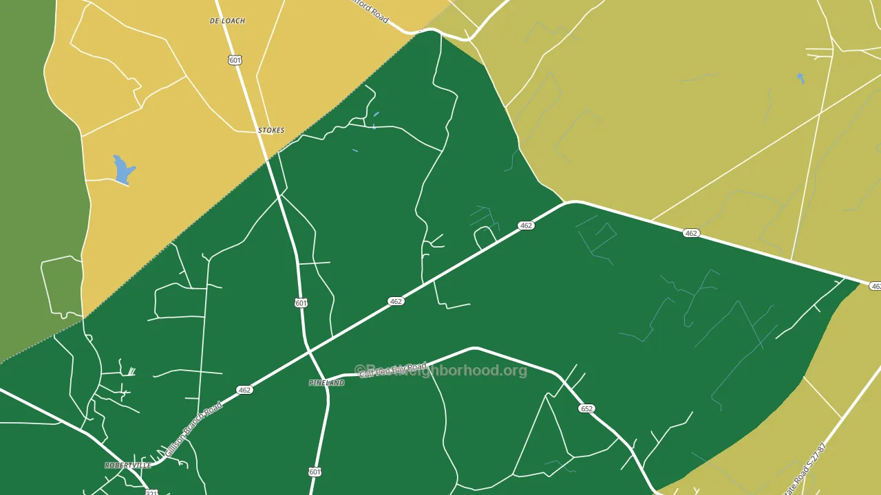 Pineland, SC block-group voter-turnout map