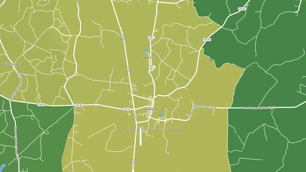 Pineland, TX block-group voter-turnout map