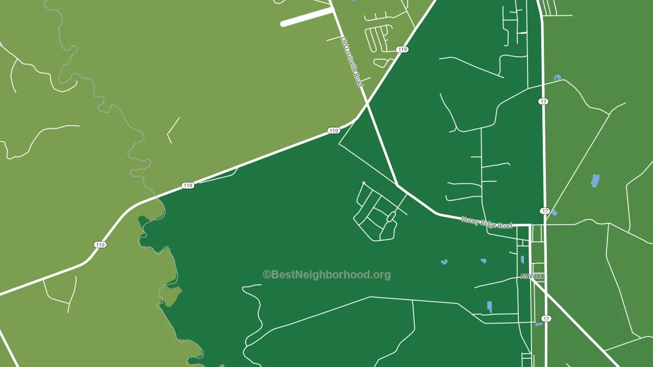 Pineora, GA block-group voter-turnout map