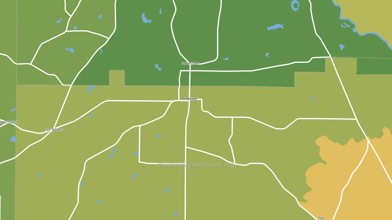 Pineview, GA block-group voter-turnout map