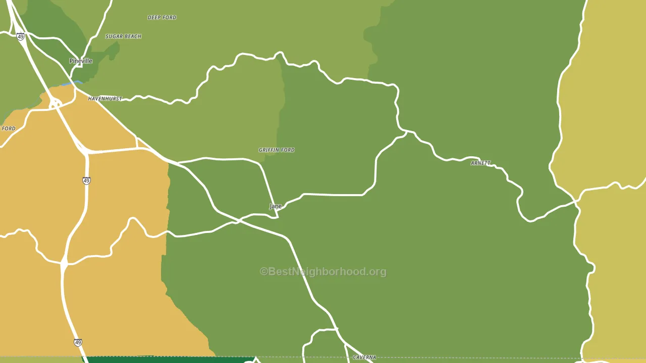 Pineville, MO block-group voter-turnout map