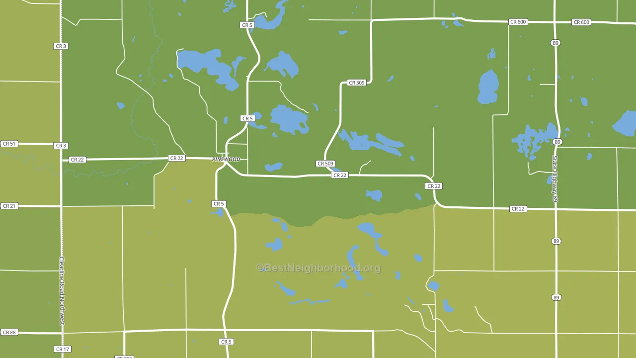Pinewood, MN block-group voter-turnout map