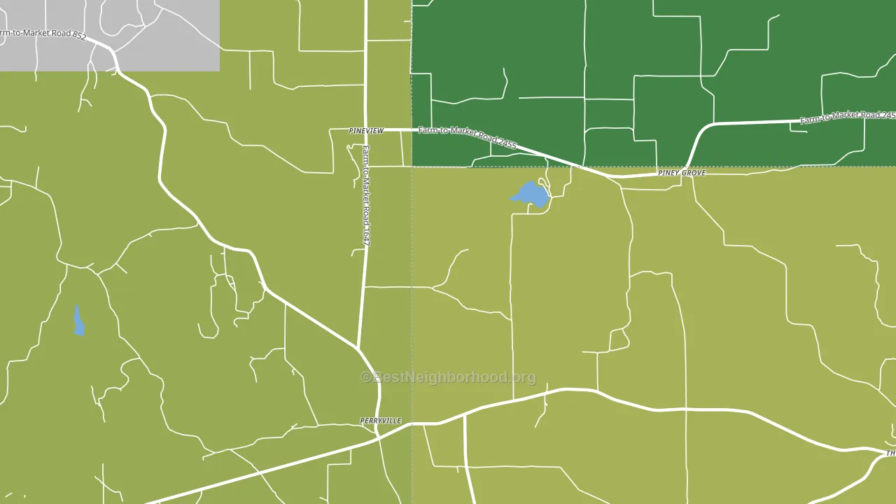 Piney Grove, TX block-group voter-turnout map