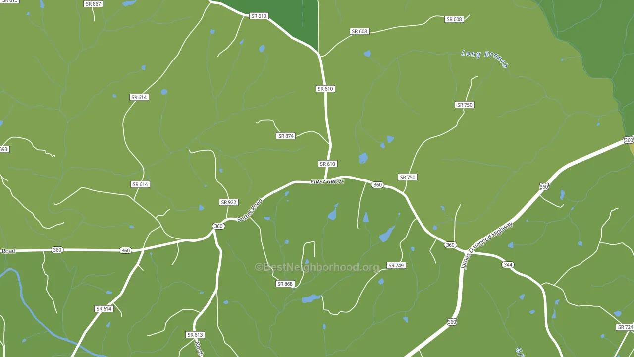 Piney Grove, VA block-group voter-turnout map