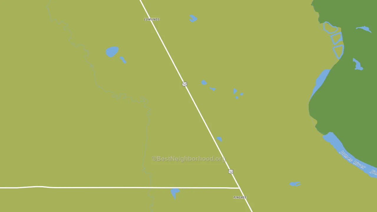 Pingree, ND block-group voter-turnout map